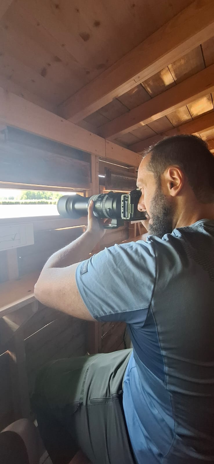 Domenico Caldesi, Wildlife & Macro Photographer